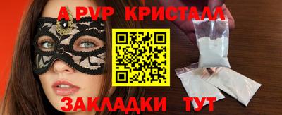 индика Кингисепп