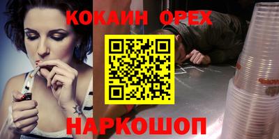индика Кингисепп