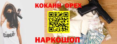 индика Кингисепп