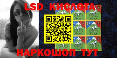 индика Кингисепп