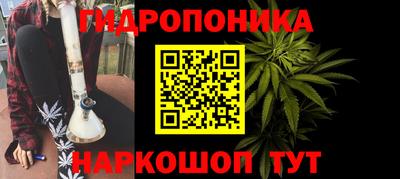 индика Кингисепп