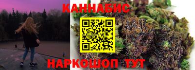индика Кингисепп