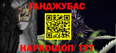 индика Кингисепп