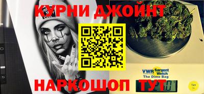 индика Кингисепп