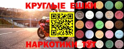 индика Кингисепп
