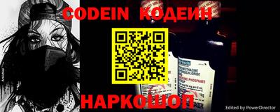 индика Кингисепп