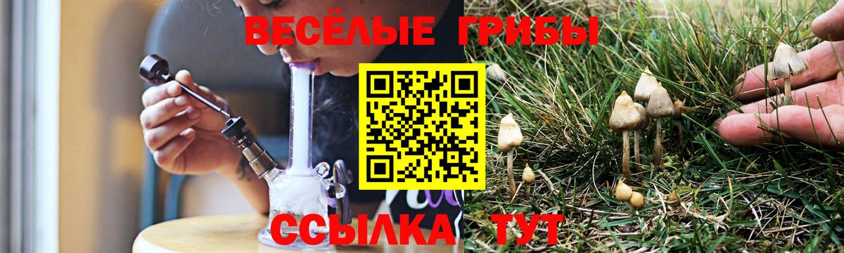 Псилоцибиновые грибы прущие грибы  Вход с VPN  Курчалой 